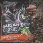 Sugar Beet Crushed