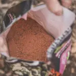 Sugar Beet Crushed