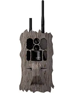 Insite Cell