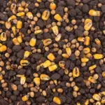 Booger Sugar Molasses