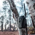 Terra Xt 2.0