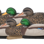Black Ducks Floater Decoys