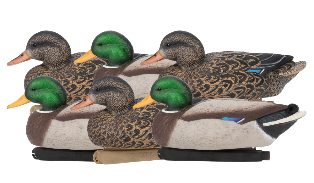 Black Ducks Floater Decoys