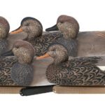 Black Ducks Floater Decoys