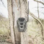 Terra Xt 2 Pack
