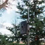 Terra Xt 2.0 3 Pack