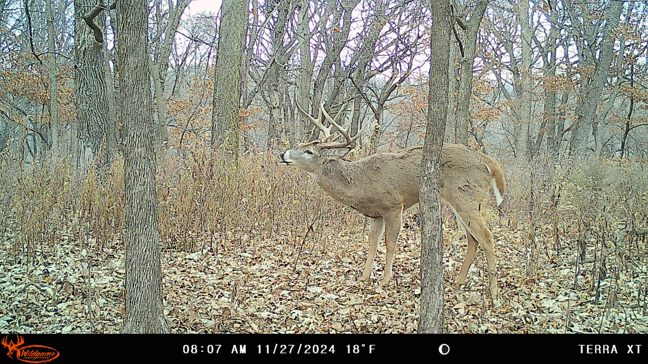 Terra XT Pack Wildgame Innovations