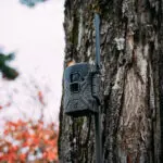 Insite V — 3 Pack